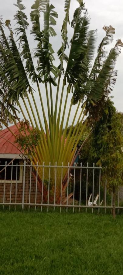 Zion Resort Bungoma Exteriér fotografie